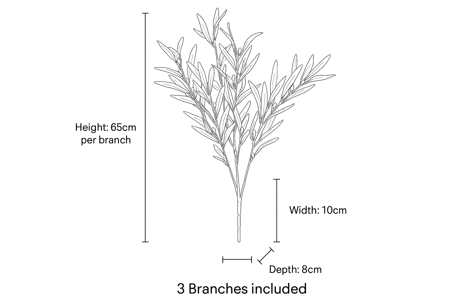 Illustration of a plant branch with measurements on a white background