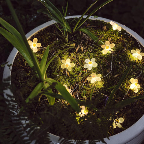Indoor outdoor flower fairy lights with battery power and timer function