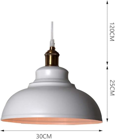 Industrial Style Iron Art Single Head Pendant Lamp in UK 