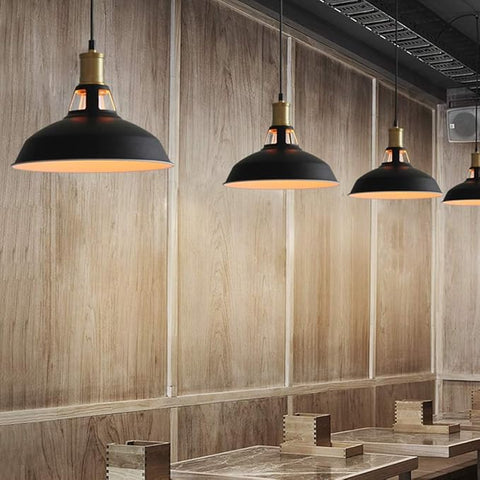 Single head iron hanging light fixture

