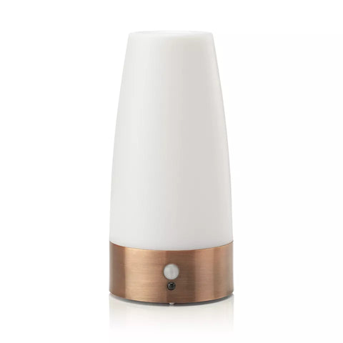 LED Night Light for Home,Small Lamp with Wireless PIR LED Motion Sensor Indoor/Outdoor,Battery Operated Lamp for Bedroom,Hallway,Kitchen
