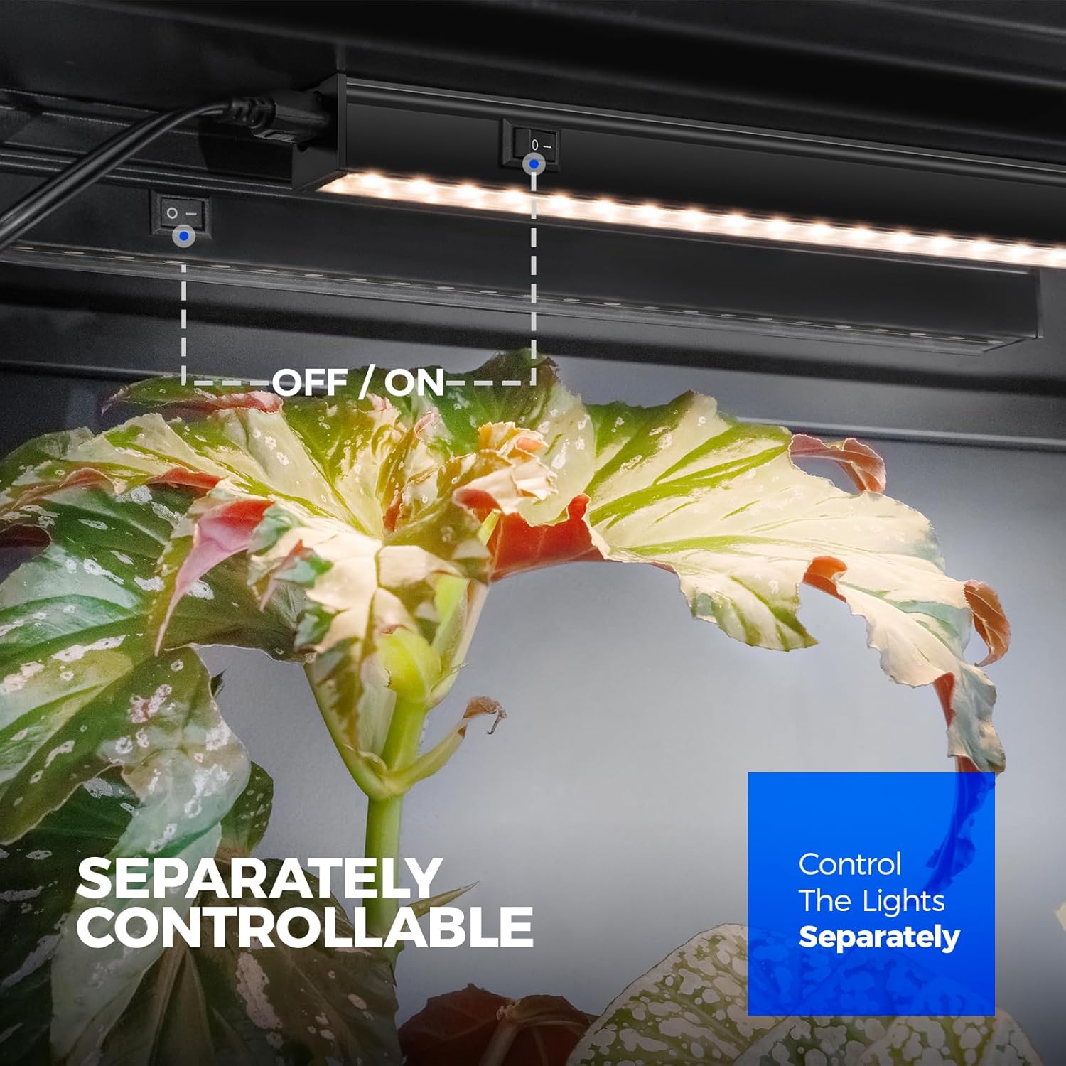 LED grow light on a plant with control switch and text indicating separately controllable lights.