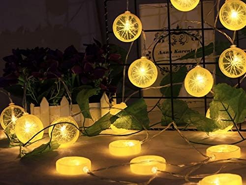 Lemon Slice Lights,120inch Long,Battery Power,Flexible Rope String Fairy LED, Warm Yellow for Christmas - thelights4u.com