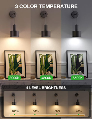 Light fixture with three color temperature settings (3000K, 4500K, 6500K) and four brightness levels displayed.
