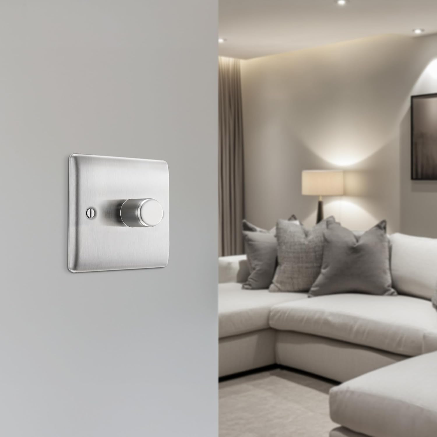 Light switch panel on a wall with a living room in the background