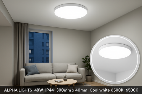Living room with a ceiling light fixture and a close-up of the light bulb.