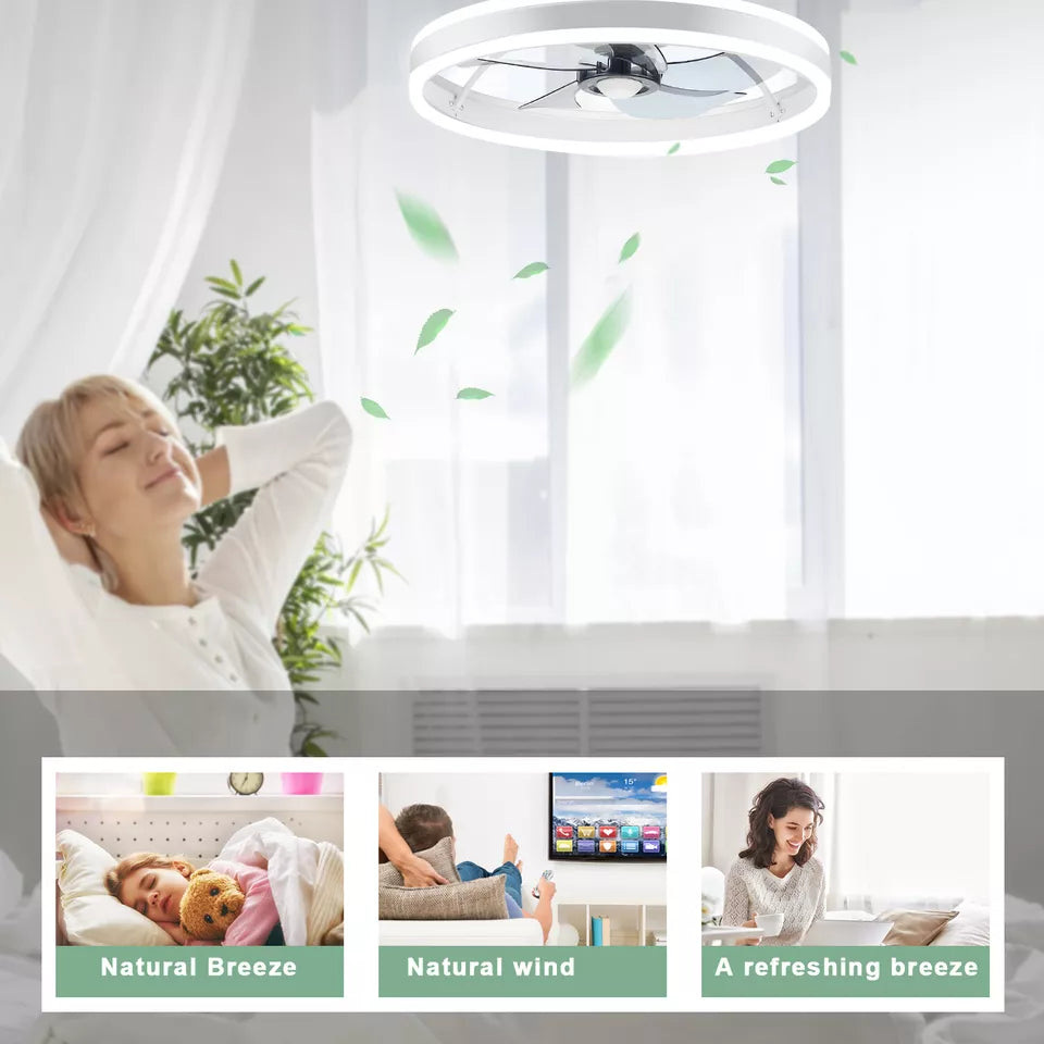 Modern Ceiling Fan with Light,Mute LED Dimmable Ceiling Fans with Remote Control,6 Speeds Reversible 60W Contemporary Ceiling Fan for Bedroom,Study Room,Dining Room
