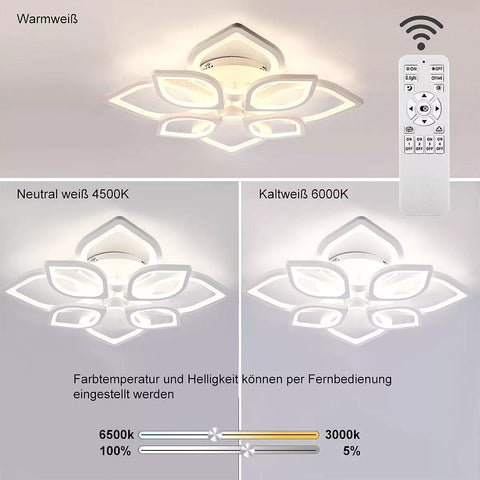 Acrylic and Metal Ceiling Lamp UK

