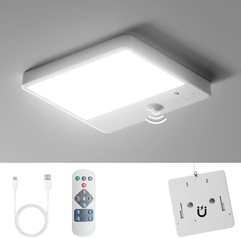 Motion Activated Ceiling Light for Hallways

