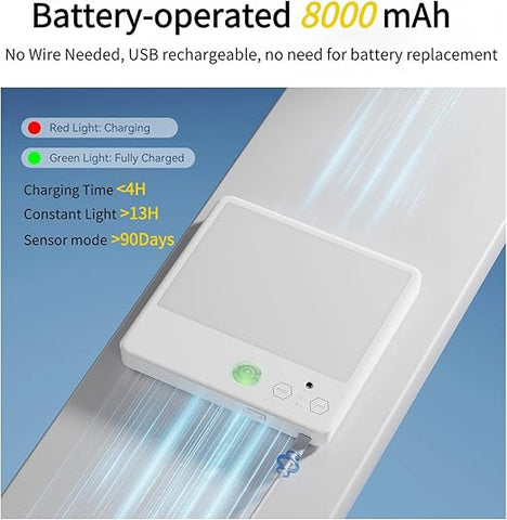 Battery-Powered Motion Sensor Ceiling Lamp

