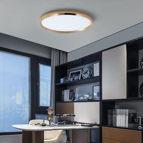 Modern ceiling light fixture in a room with shelves and a window.