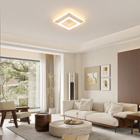 Modern living room with a ceiling light fixture, sofa, and decor.