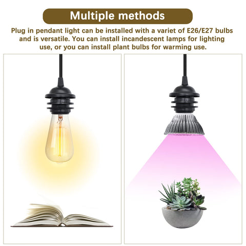 Plug-in pendant light with options for incandescent and plant bulbs, shown with a book and plant.