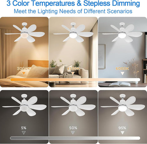 Remote controlled fan ceiling light

