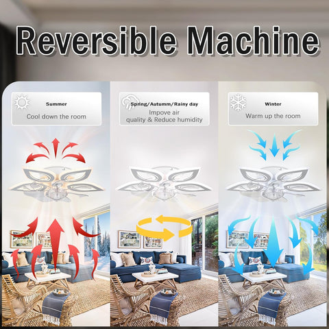 Reversible machine for different seasons in a living room setting