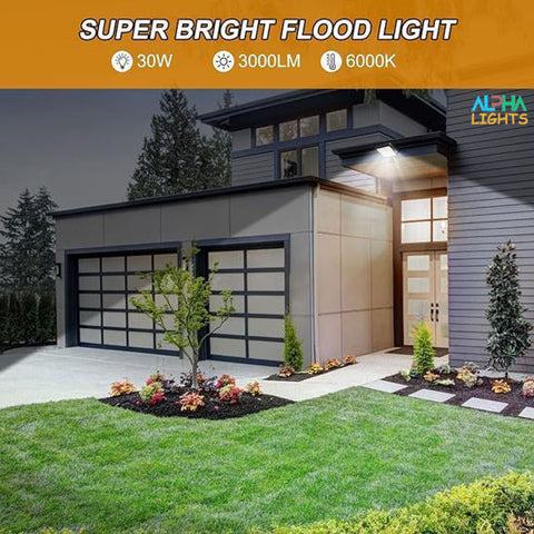 Alpha Lights floodlight illuminating a backyard pathway

