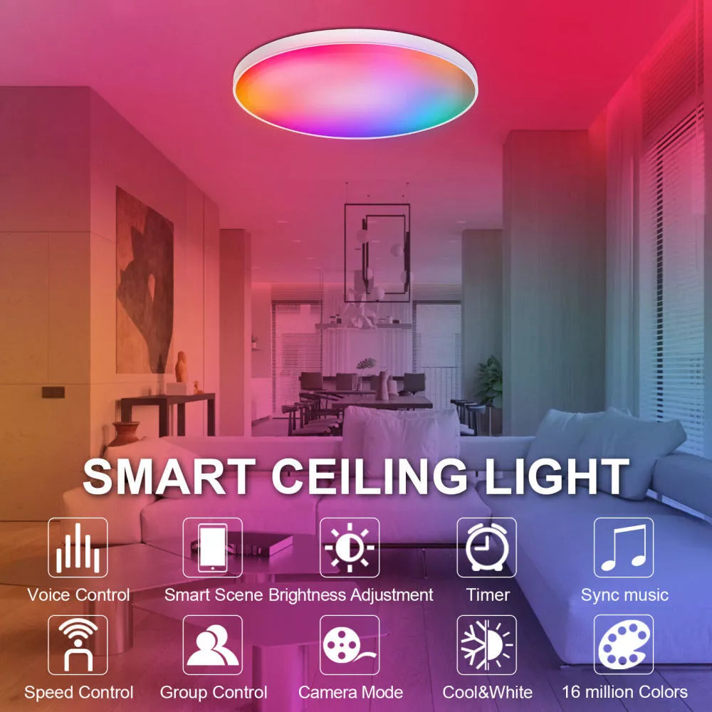Alexa and Google Assistant voice-controlled smart ceiling light



