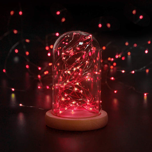 Waterproof solar fairy lights for garden decor

