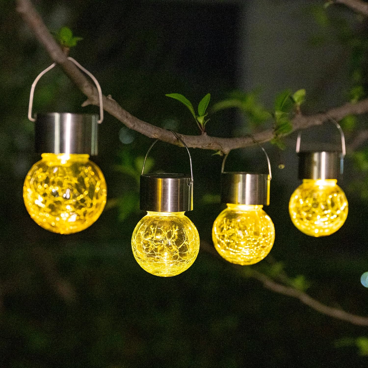 Solar string lights with yellow bulb lights hanging on a tree branch at night.