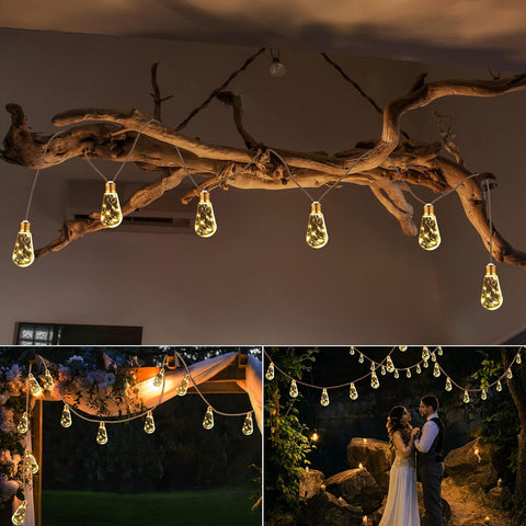 String lights hanging from a branch with additional scenes of string lights in different settings.