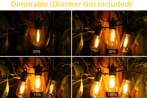 String lights with dimmer control percentages displayed on a dark background
