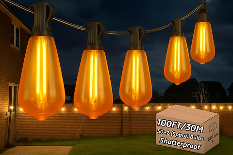 30M Festoon Lights Outdoor Mains Powered With ST38 Bulbs