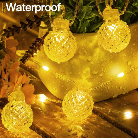 String lights with waterproof label on a decorative setting with flowers and a vase.