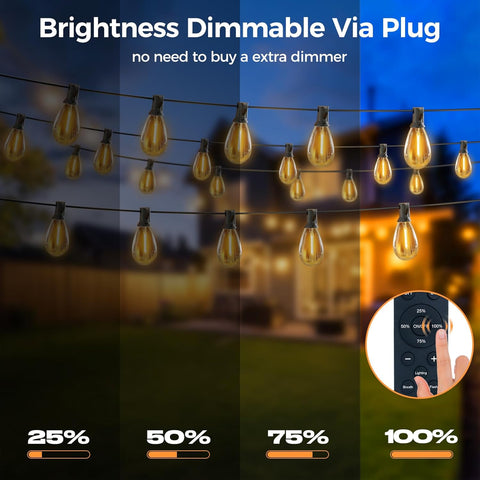 String lights with dimmable feature shown outdoors, featuring a remote control.