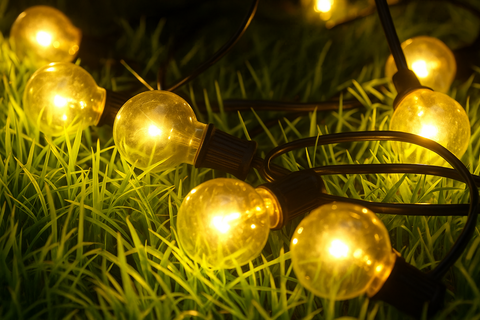 String of glowing lights on grass
