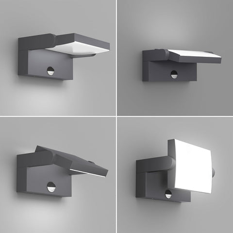 Swivel head outdoor wall light

