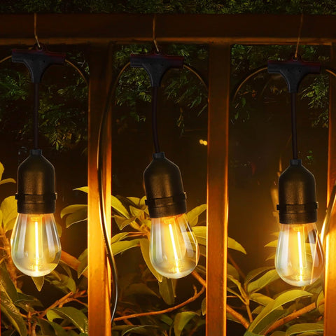 Three hanging light bulbs in a garden setting with greenery.