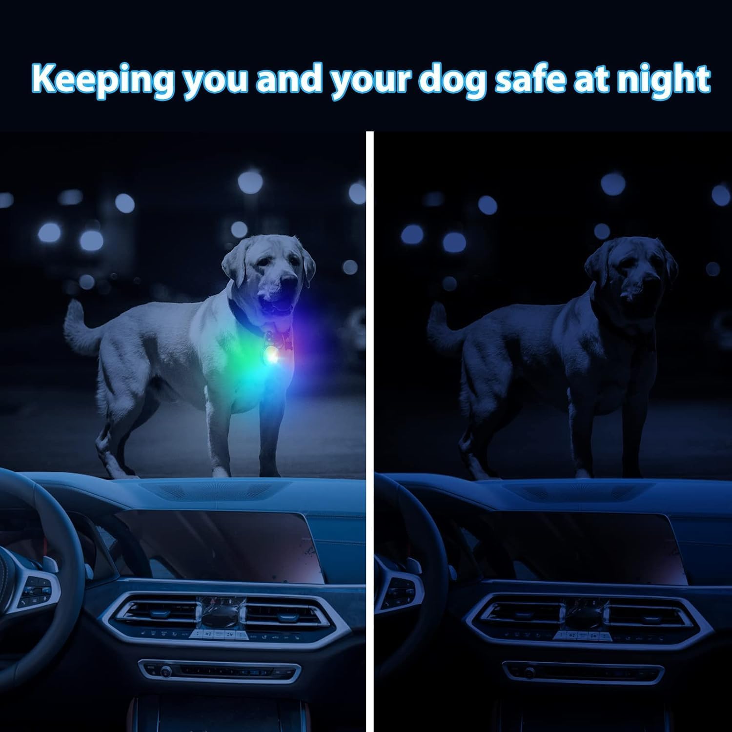 Two dogs wearing LED dog collars in a car at night, with text 'Keeping you and your dog safe at night'.