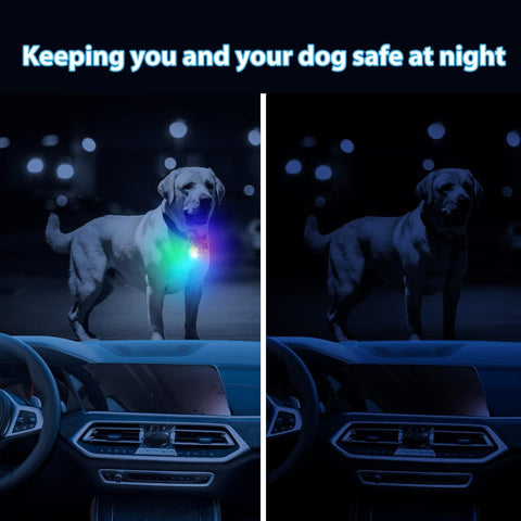 Two dogs wearing LED dog collars in a car at night, with text 'Keeping you and your dog safe at night'.