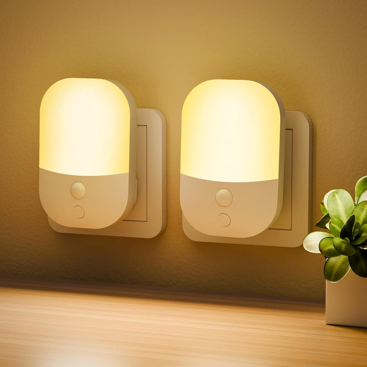 Two night lights on a wall with a plant in the foreground