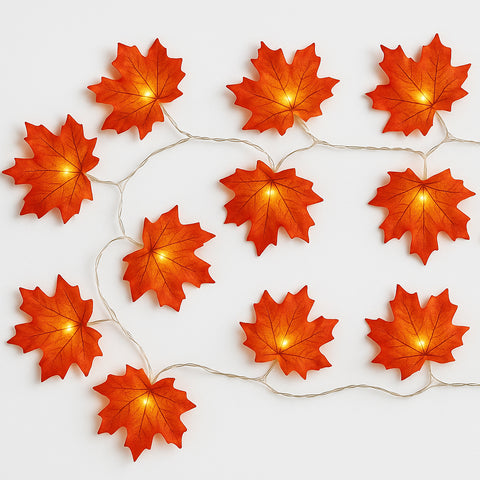 Modern White LED String Lights 3m 20 Warm White Lamps