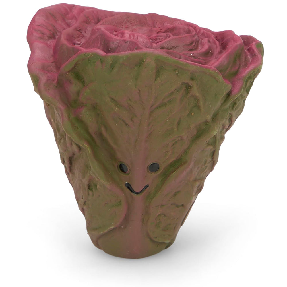 Petface Foodie Faces Red Lettuce Dog Toy