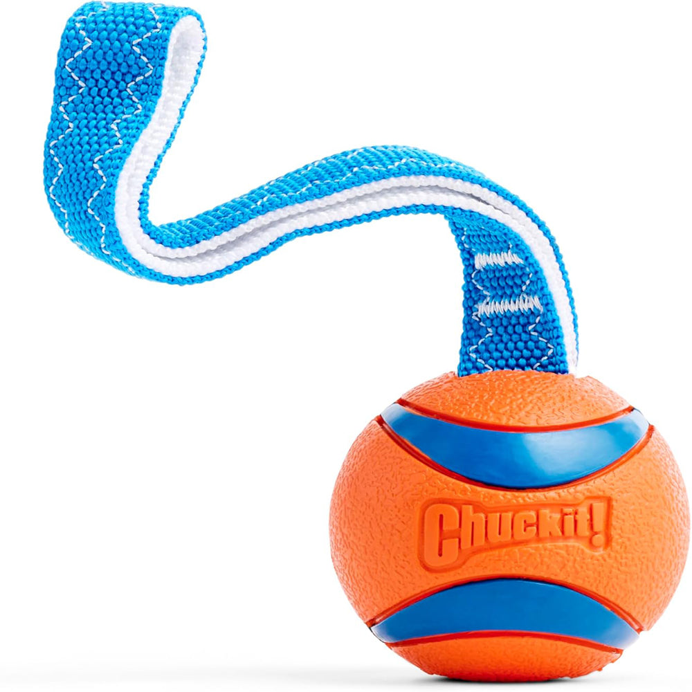 Large Dog Tug and Fetch Rubber Ball Toy Orange