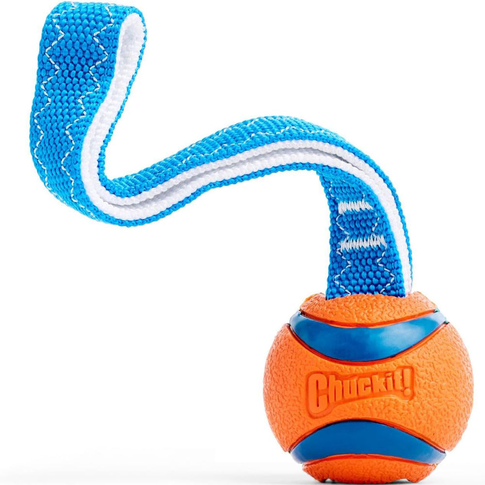 Chuckit Ultra Tug Interactive Dog Toy Small
