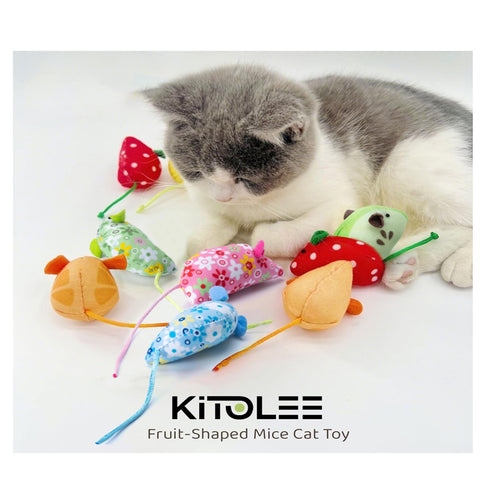 Catnip Mouse Cat Toys for Indoor Cats & Kittens – 6 Pack