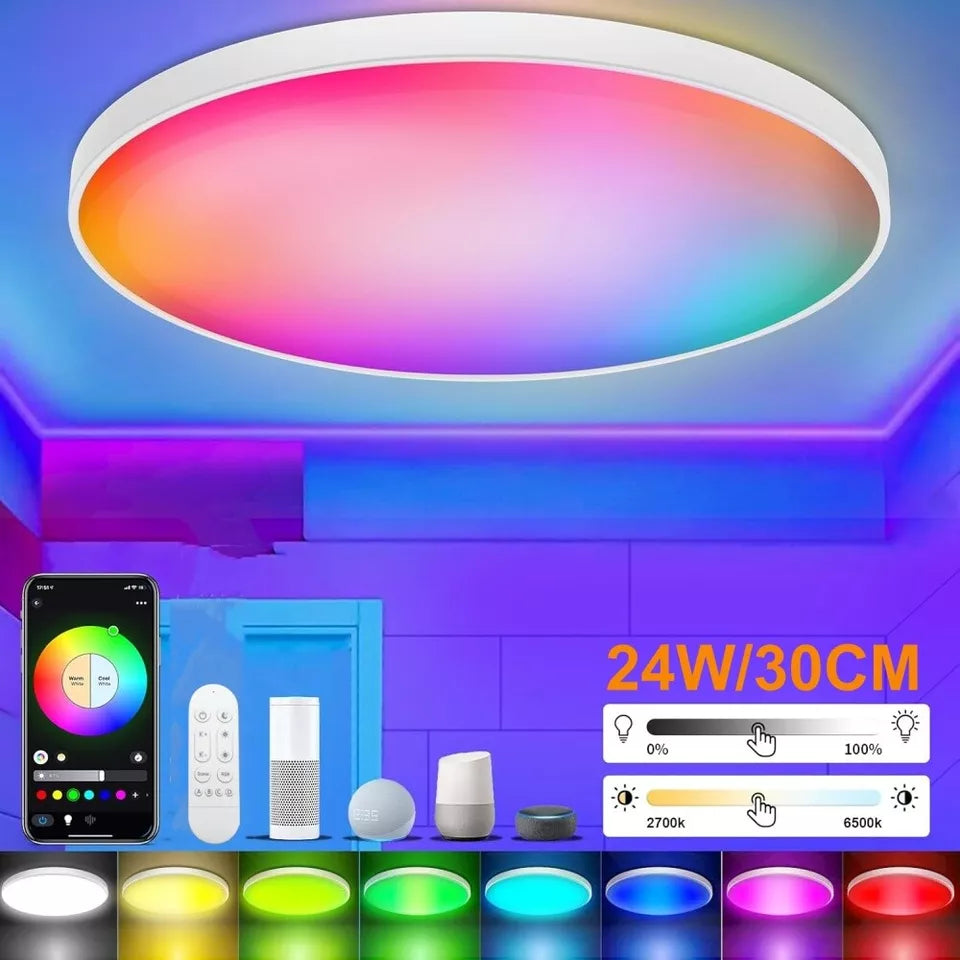 WIFI RGB+CCT Smart Ceiling Light - 24w 12inch Flush Mount Ceiling Light Dimmable 3000-6500K Alexa/Google Assistant / App Control Color Changing LED Ceiling Light Fixture for Living Room Bedroom (Copy)
