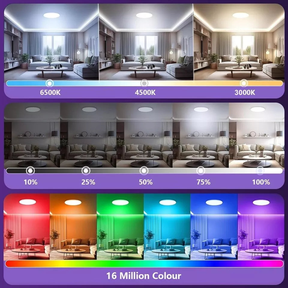 WIFI RGB+CCT Smart Ceiling Light - 24w 12inch Flush Mount Ceiling Light Dimmable 3000-6500K Alexa/Google Assistant / App Control Color Changing LED Ceiling Light Fixture for Living Room Bedroom (Copy)
