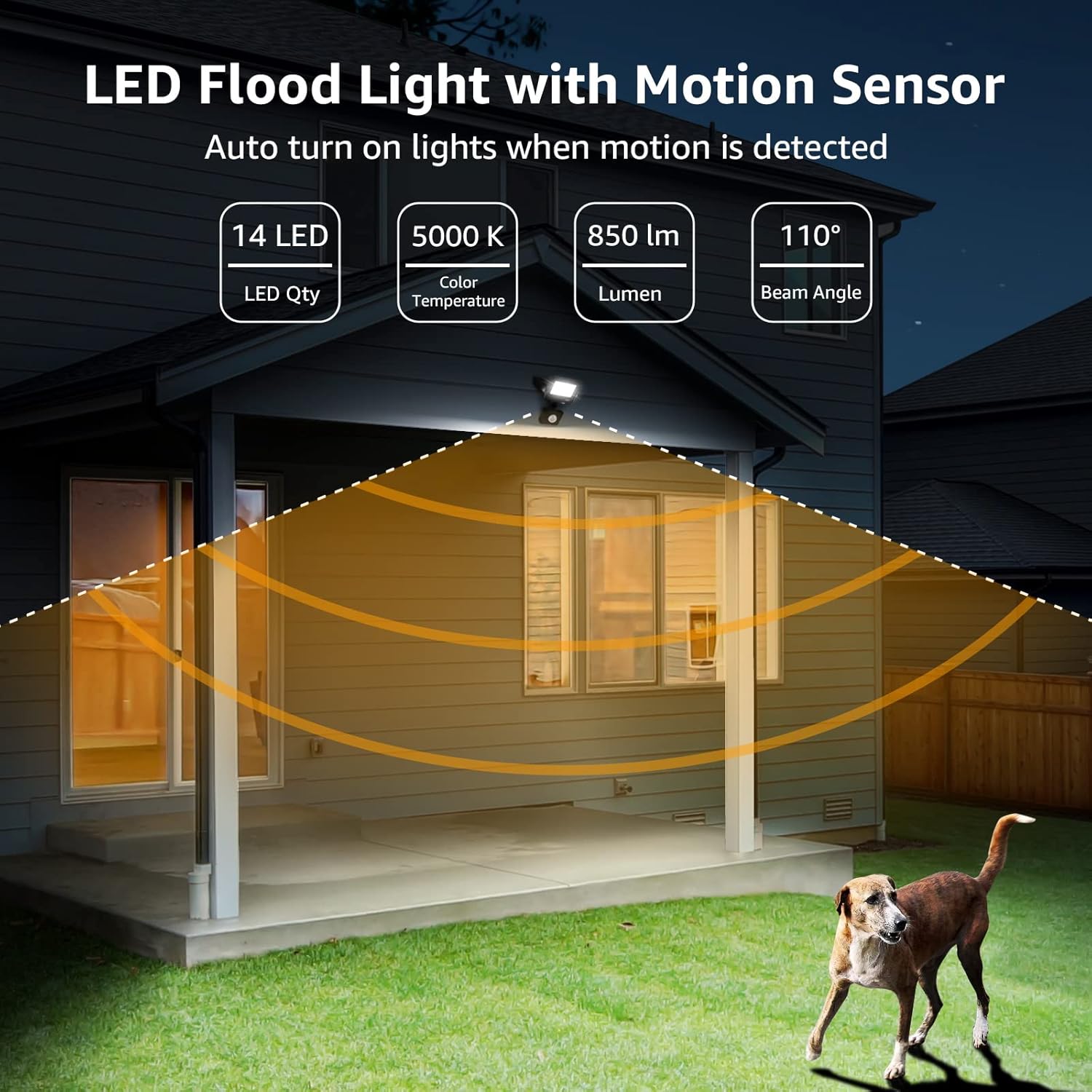 Waterproof IP65 flood light

