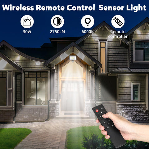 Wireless remote control sensor light with house exterior and remote control