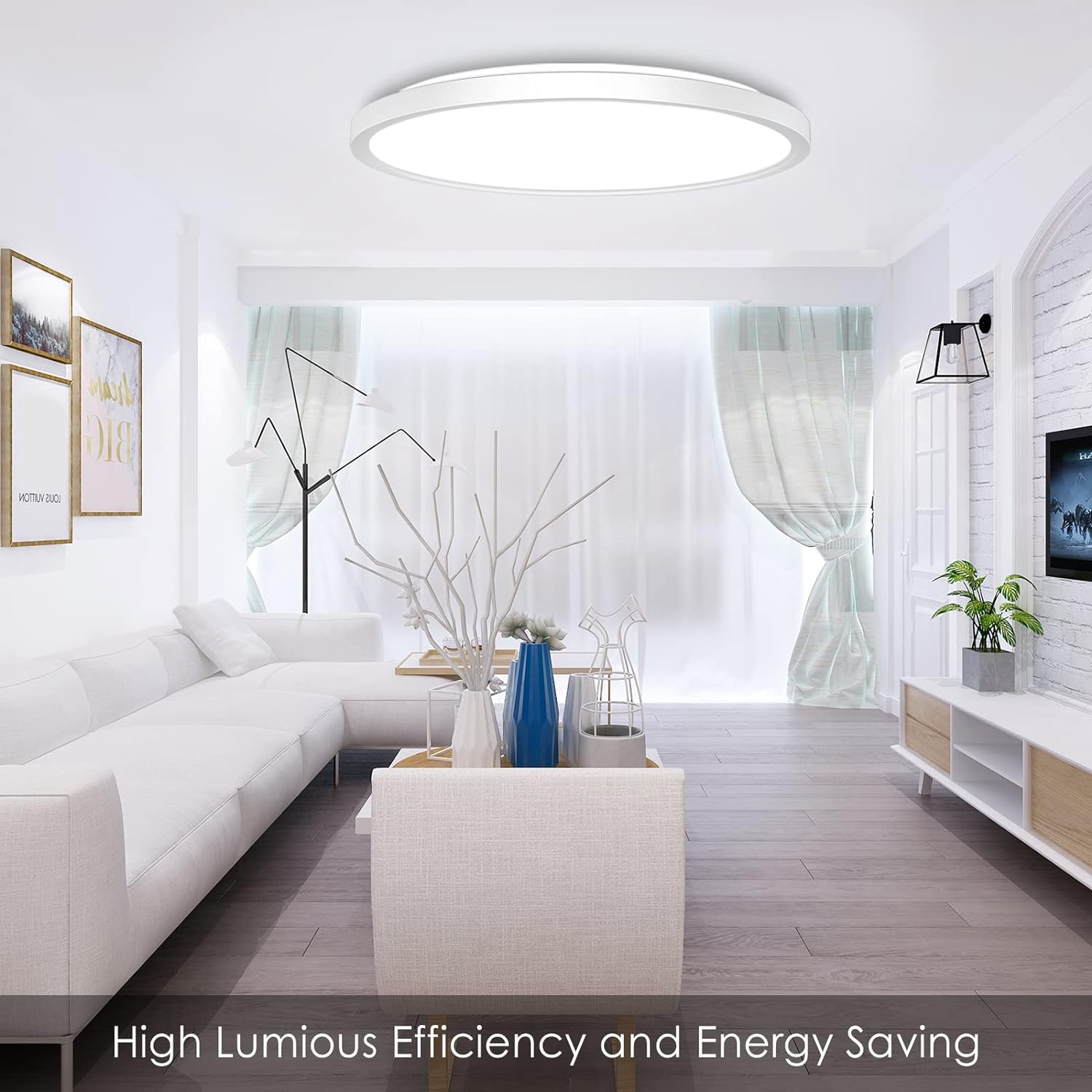Dimmable ceiling light with remote
