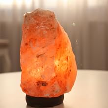 3 Pack Salt Lamp Bulb | Oven Bulb | Fridge Bulb