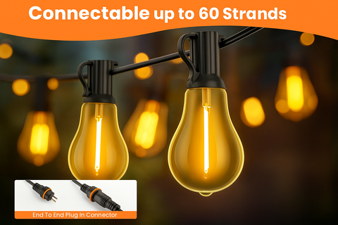 25ft Mains Powered Festoon Lights