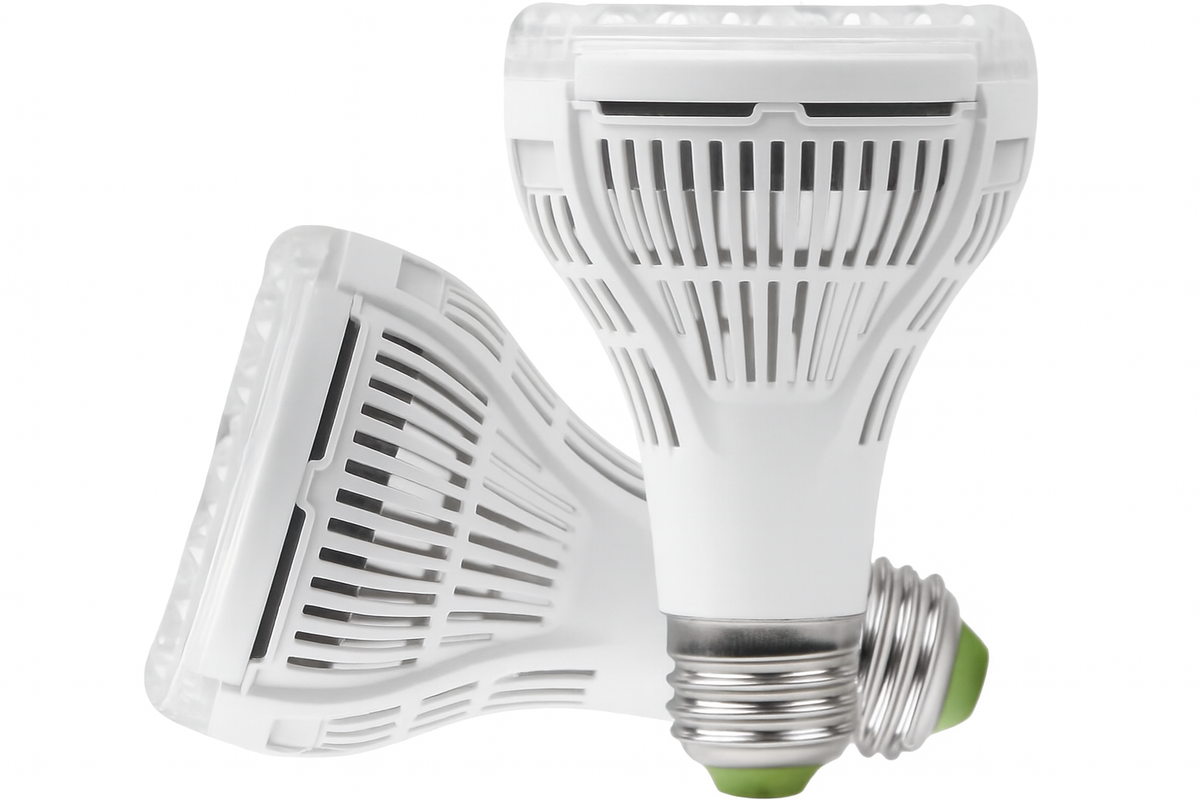 Two LED light bulbs on a white background