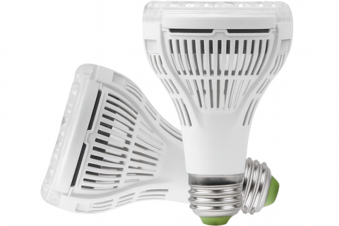 Two LED light bulbs on a white background