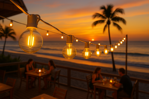 50ft Mains Powered Hanging Festoon Lights With 30 Bulbs