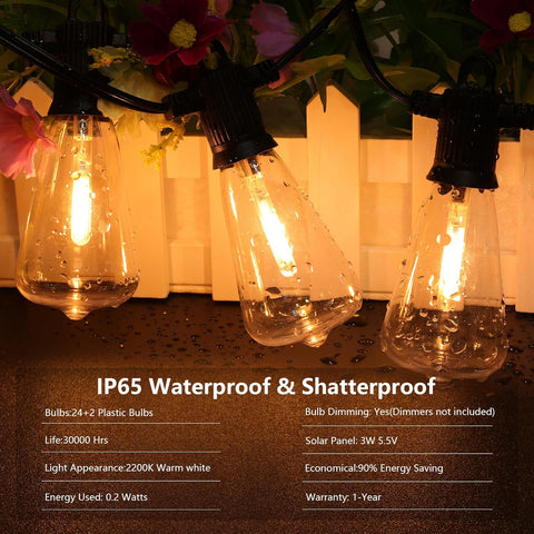 IP65-rated string lights used in a backyard party


